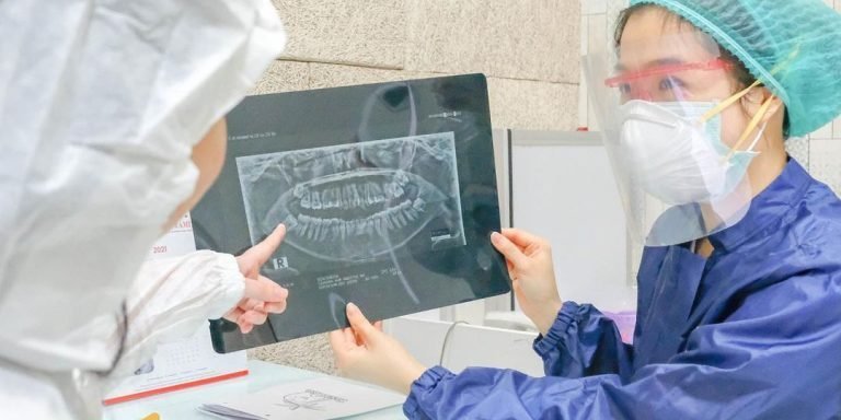 dental_land-768×768