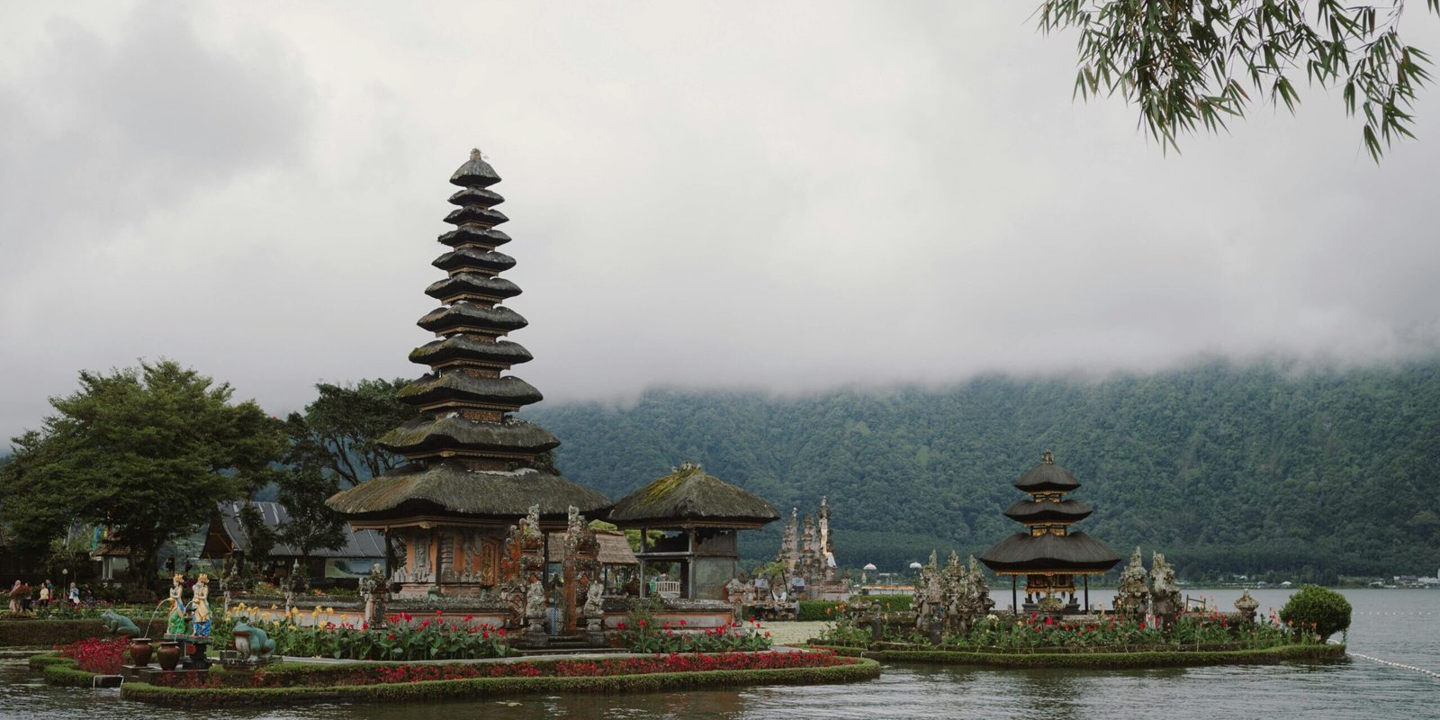 pexels-lucastranimages-27375301